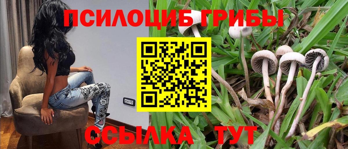 Сланцы  наркотики  Вход с VPN  Псилоцибиновые грибы прущие грибы  Галлюциногенные грибы Cubensis 